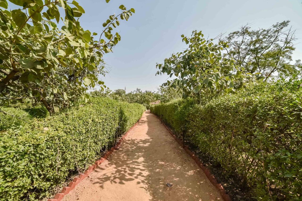Pushkar Rajwara Resort Dış mekan fotoğraf